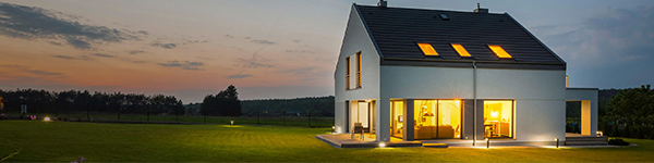 Dandelion email header