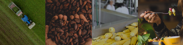 trellis Email Banner-Aug-14-2022-08-07-57-52-AM