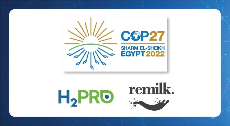 Newsletter image-01-1