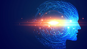 Picture1-Jul-07-2022-09-26-49-67-AM