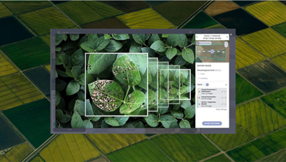 Picture10-May-26-2022-11-16-05-33-AM