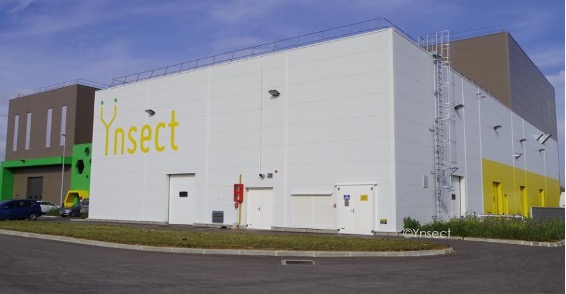 ynsect-1